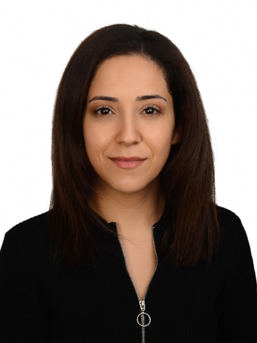Mge Emine Koptagel
